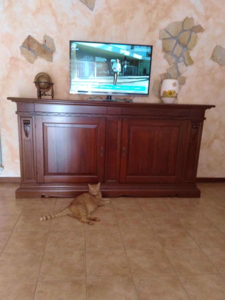 Credenzone con due porta in legno, arte povera