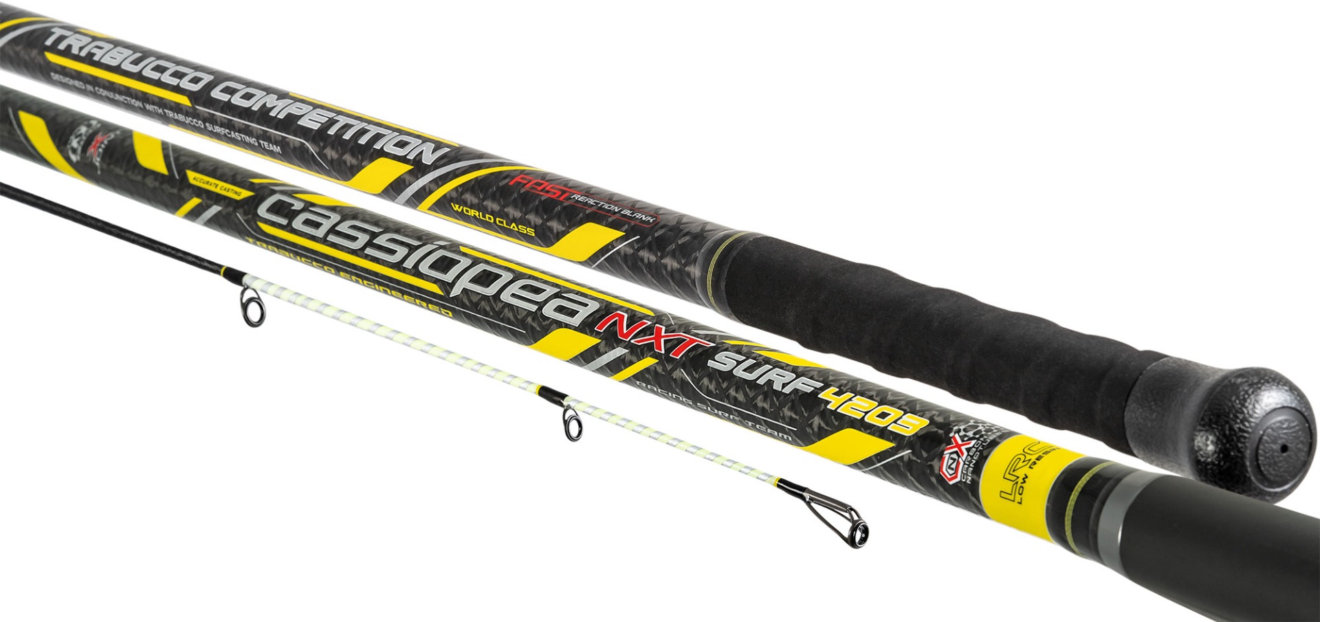 Canna cassiopea surf casting