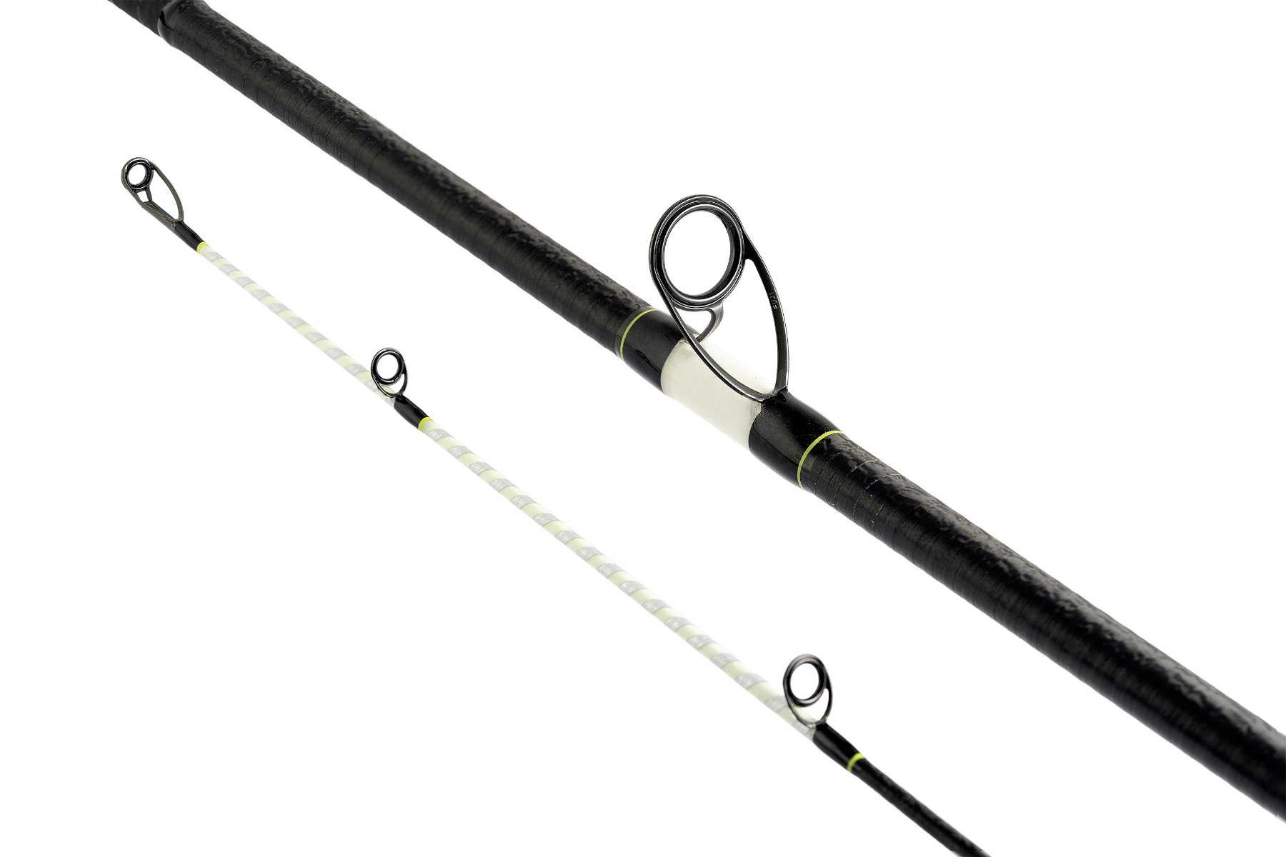 Canna cassiopea surf casting