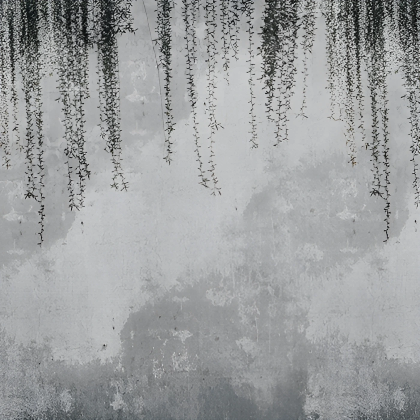 carta parati scontata online