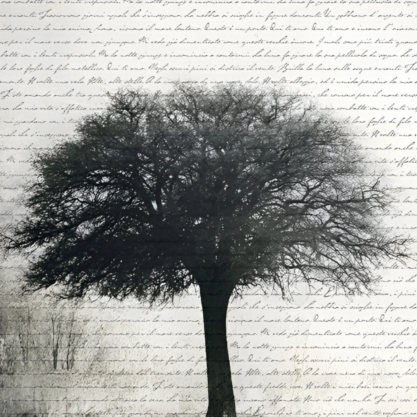 carta da parati albero online