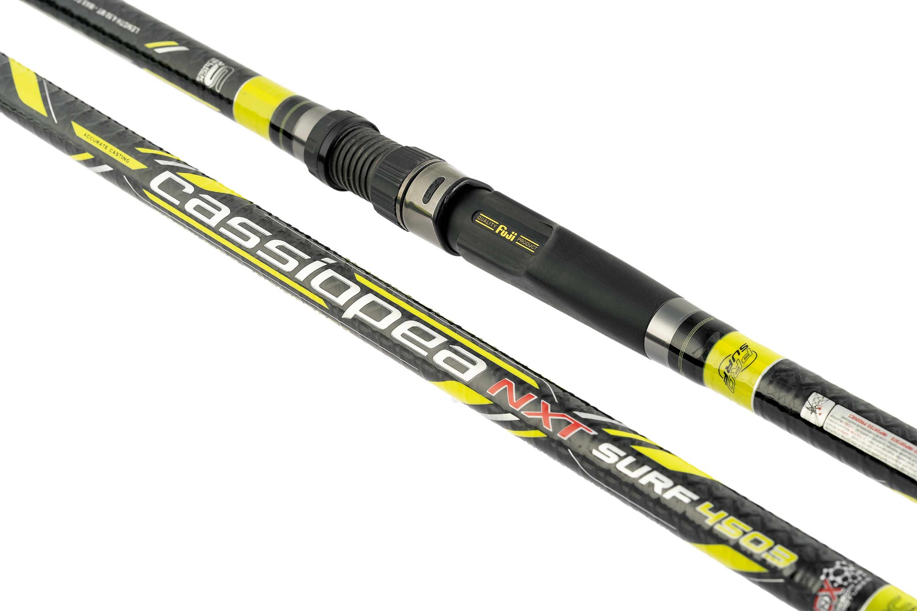 Canna cassiopea surf casting