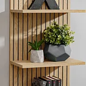 dettaglio libreria