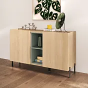 Madia economica