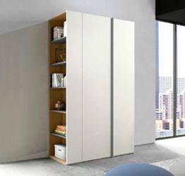 Armadio di design, 2 ante battenti e libreria laterale, finitura Bianco Opaco e Grigio cenere