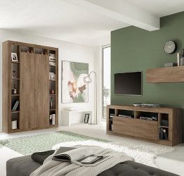 Salotto Made in Italy composto da porta TV e libreria colonna 2 ante, finitura Mercure