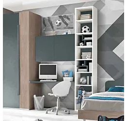zona studio reale