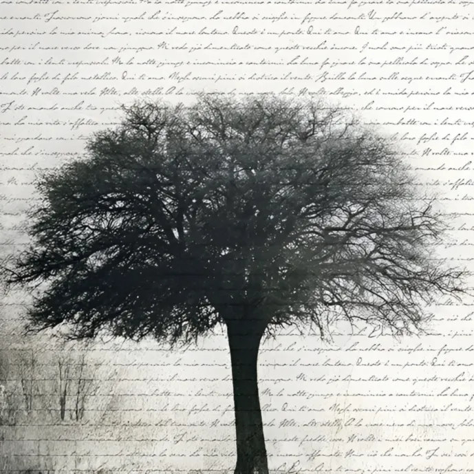 carta parati albero