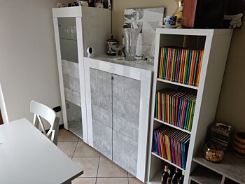 Vetrina stretta ad un anta Bianco Lucido e Beton