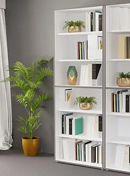 libreria economica