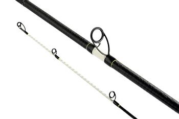 Canna cassiopea surf casting