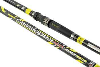 Canna cassiopea surf casting