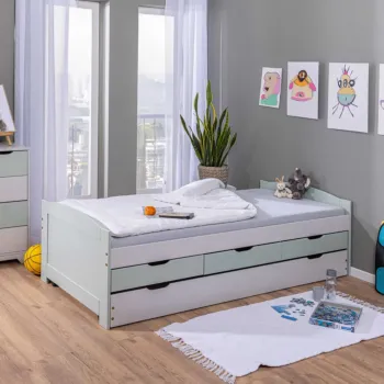Divano letto con cassetti, secondo letto estraibile, Grigio chiaro e Salvia Zenzero Shop