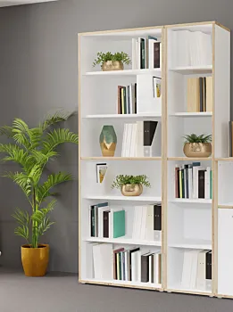 libreria in offerta