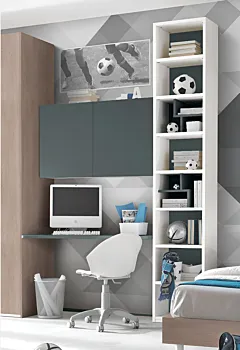 zona studio reale