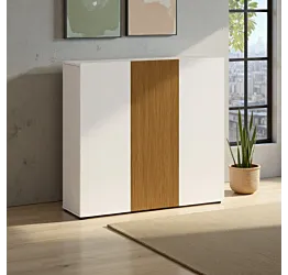 scarpiera moderna