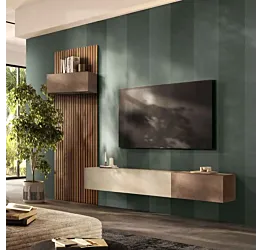 Parete attrezzata con ribalte e boiserie, Bronzo, Argilla e Mercure cannettato