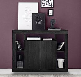 Credenza alta salvaspazio a 2 ante, Nero frassinato