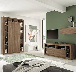 Salotto Made in Italy composto da porta TV e libreria colonna 2 ante, finitura Mercure