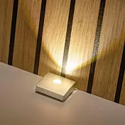 dettaglio led
