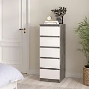 Cassettiera con cinque cassetti colore Calcestruzzo e Bianco lucido 