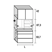 modulo pivot tomasella