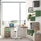 zona studio brown