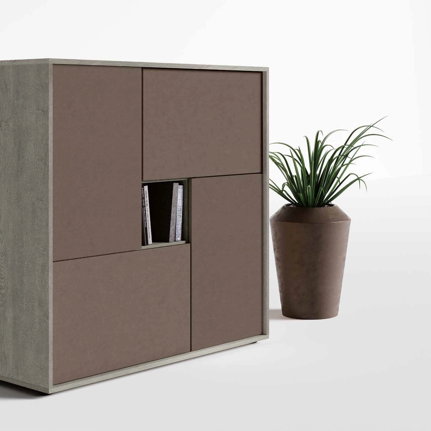 madia a terra bianca