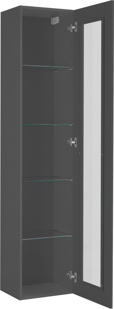 Vetrina sospesa di design con anta battente, finitura Antracite