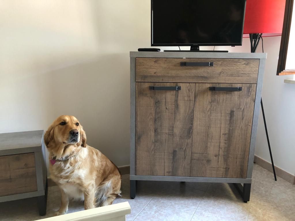 Mobiletto scarpiera Industry d'ingresso 2 ante 1 cassetto, Cemento e Rovere invecchiato