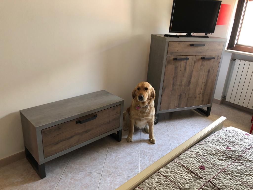 Panca in stile Industry con anta, Cemento e Rovere invecchiato